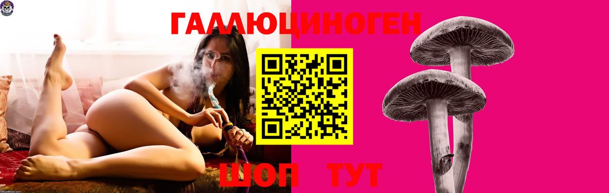 Галлюциногенные грибы MAGIC MUSHROOMS  Вход с VPN  Котельники  Галлюциногенные грибы Magic Shrooms 